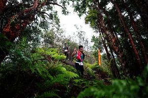 BIB: 
                            <button type="button" onclick="openModal(26204199)" class="btn btn-primary btn-sm float-right btn-popup" data-toggle="modal" data-target=".modal-high-quality">
                        <i class="fas fa-shopping-cart"></i> Add to Cart
                    </button>
                                            <button type="button" onclick="isThisMe(26204199, true)" class="btn btn-success btn-sm float-right btn-popup btn-isme hidden" data-toggle="tooltip" data-placement="bottom" title="นี่คือรูปของคุณใช่ไหม คลิกที่นี่เพื่อเอาเข้าอัลบั้ม">
                        <i class="fas fa-plus"></i> Add to album
                    </button>
                    <button type="button" onclick="isThisMe(26204199, false)" class="btn btn-warning btn-sm float-right btn-popup btn-isnotme hidden">
                        <i class="fas fa-ban"></i> Remove from album
                    </button>